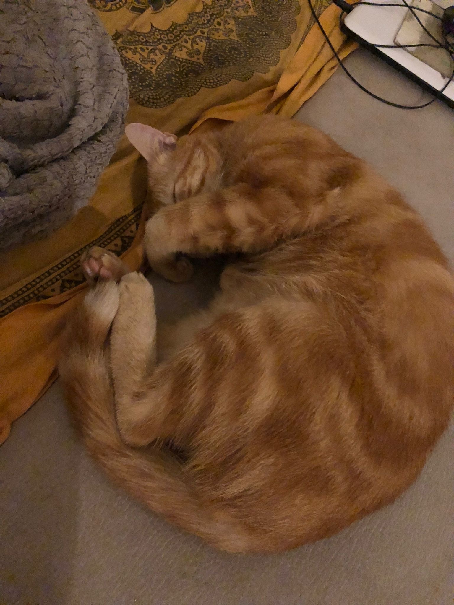 Profil von Michel-yves